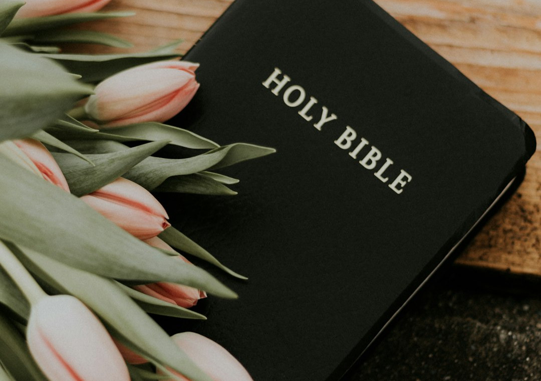 What does it mean to be “holy?”